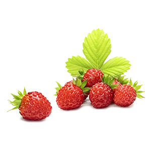 Erdbeere: Bowlenzauber