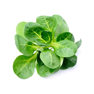 Feldsalat