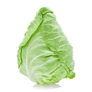 Kopfkohl: Filderkraut