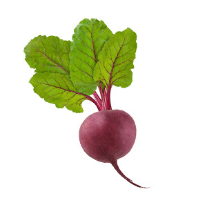 Rote Bete: Formanova