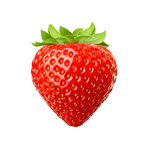 Erdbeere: Honeoye