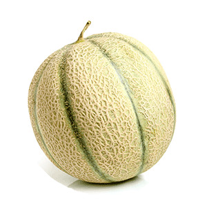 Zuckermelone: Ziermelone Melon de Poche Queen Anne`s