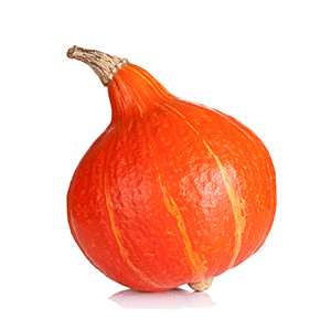 Kürbis: Red Kuri