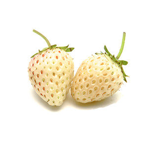 Erdbeere: Tubby White