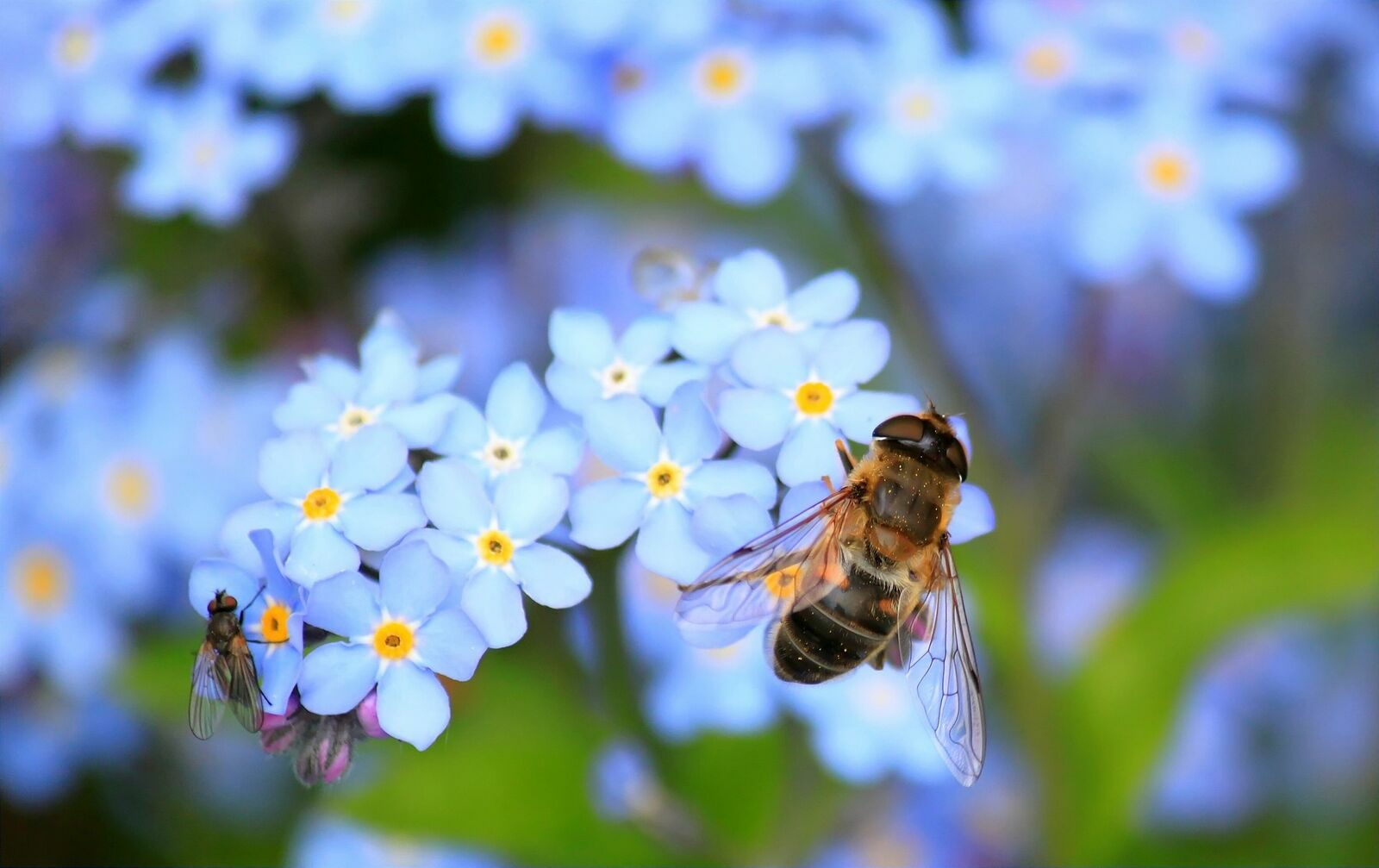 Blog Artikel Banner Bild