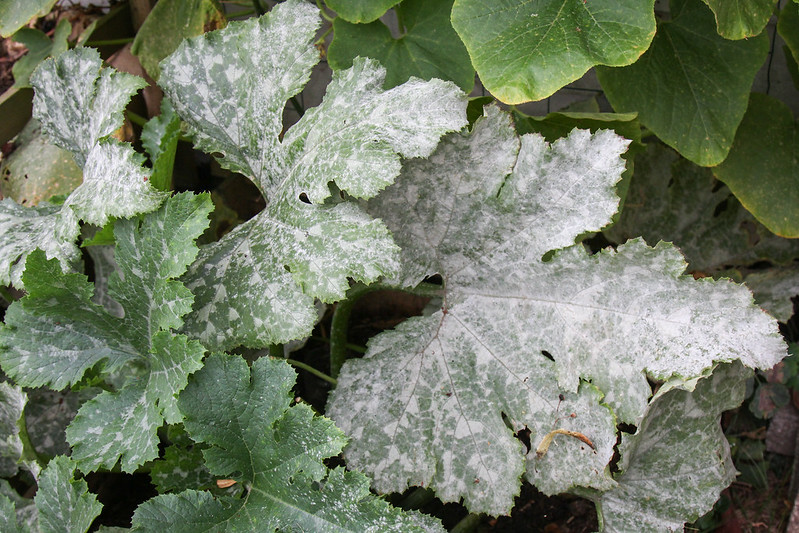 Blog Artikel Banner Bild