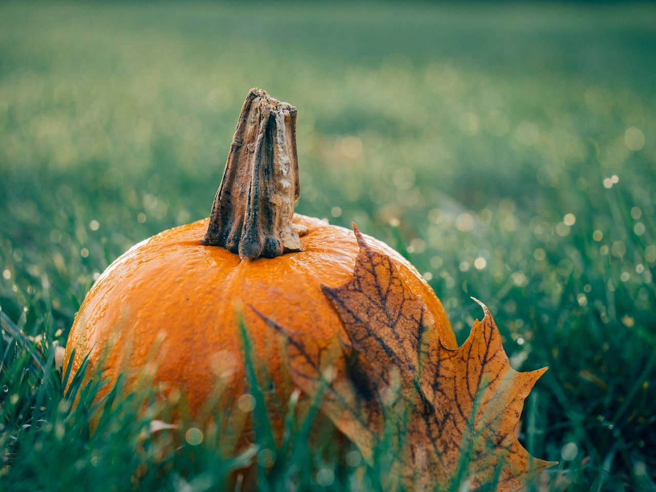 Blog Artikel Banner Bild