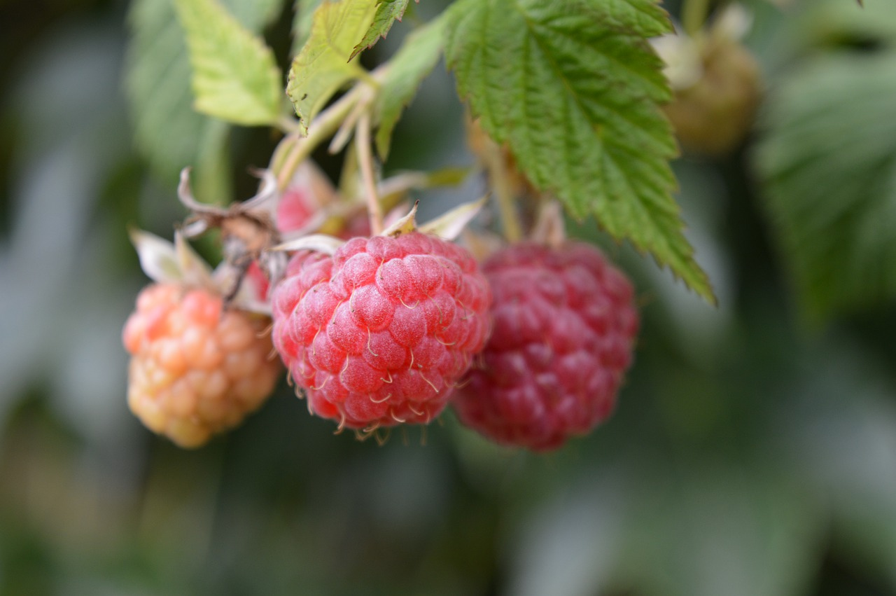 Blog Artikel Banner Bild