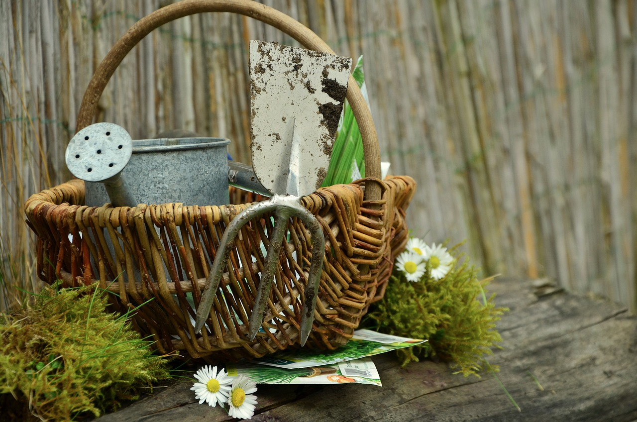 Blog Artikel Banner Bild