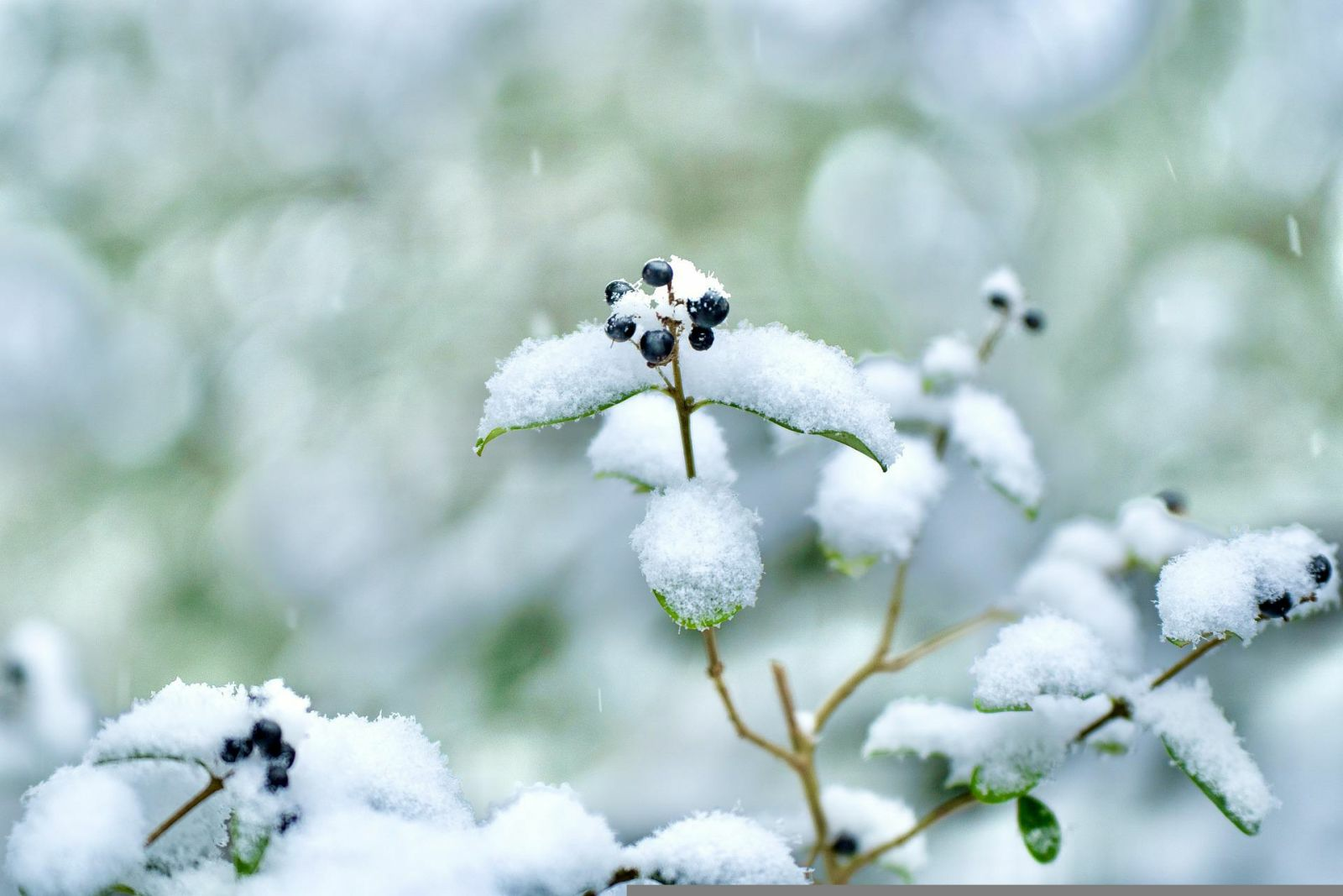 Blog Artikel Banner Bild
