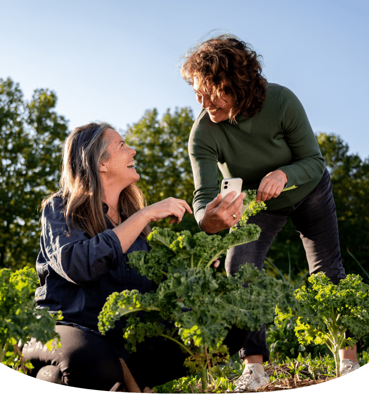 Employee Benefits for Healthy Growth