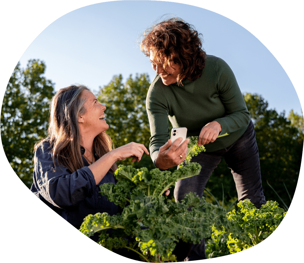 Employee Benefits for Healthy Growth