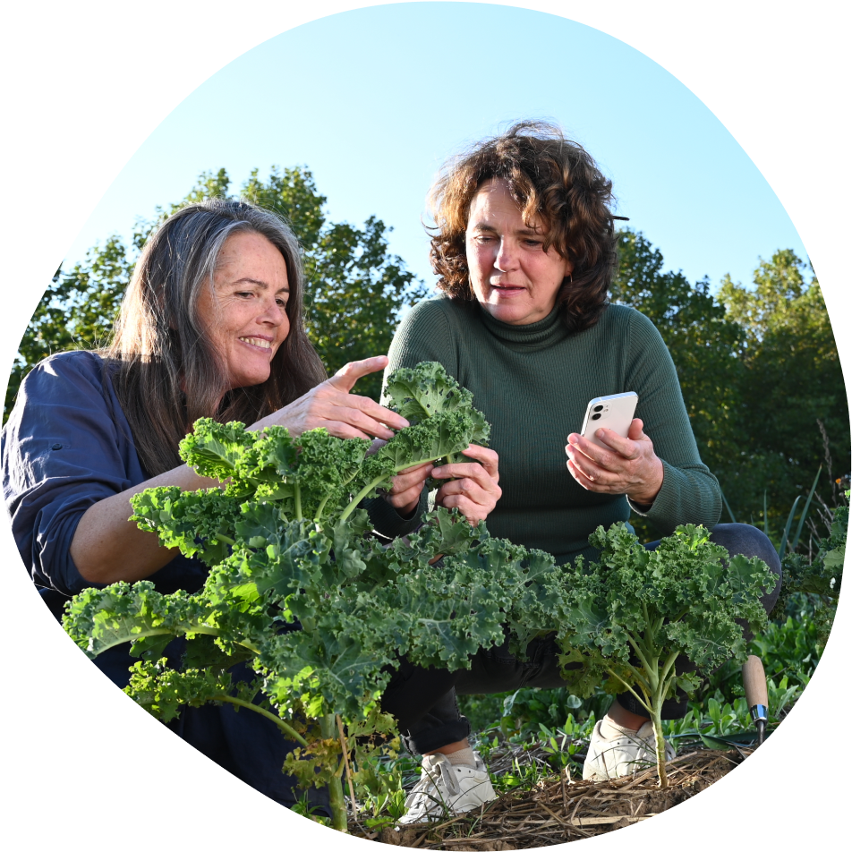 Der kostenlose Online-Gartenkongress zum Saisonstart im Gemüsegarten
