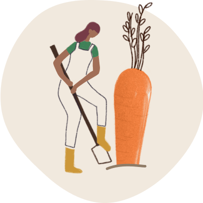 Eine Person gräbt mit einer Schaufel eine Karotte aus