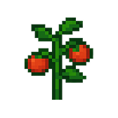 tomato graphic