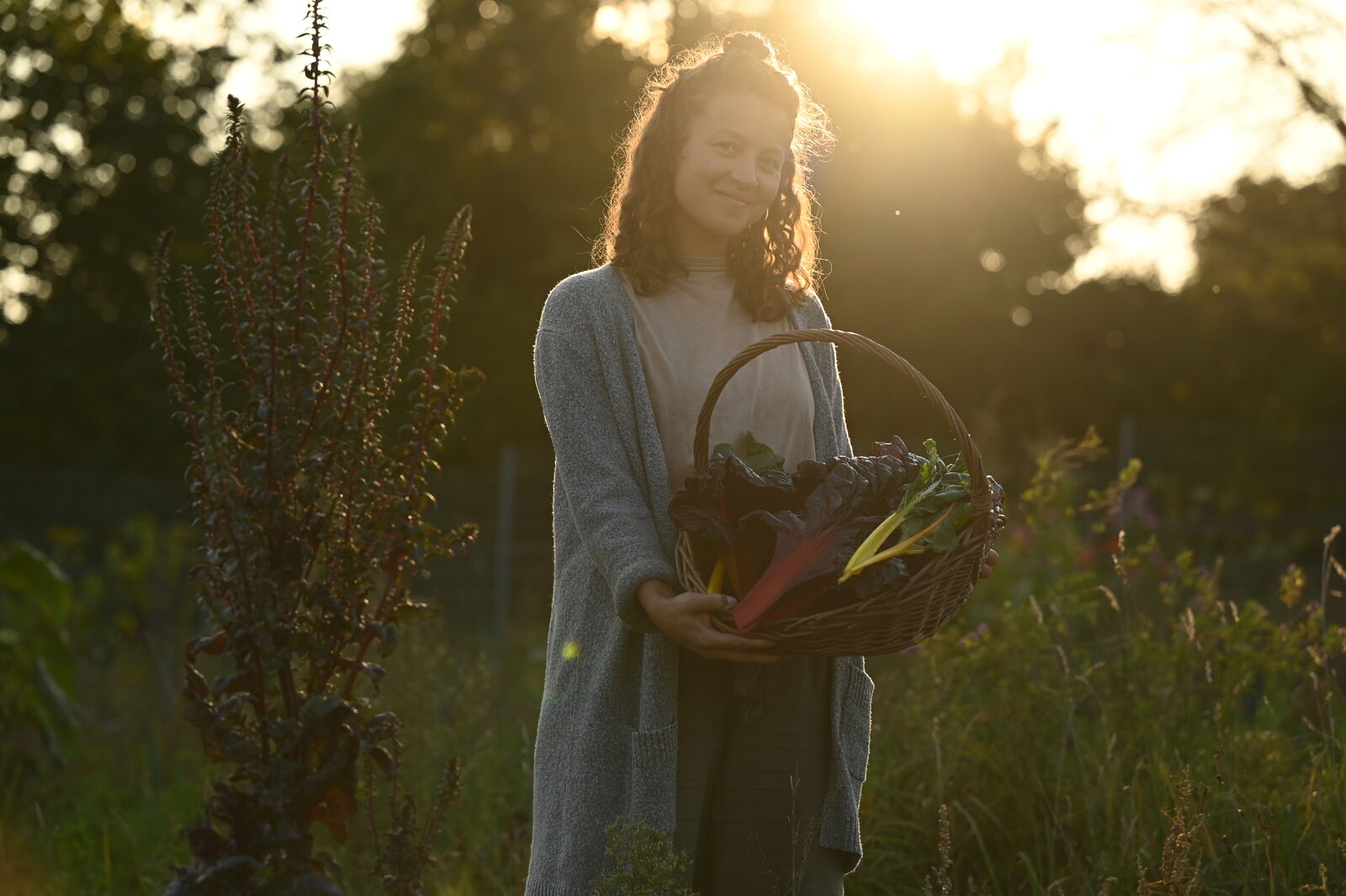 Harvest in the fall