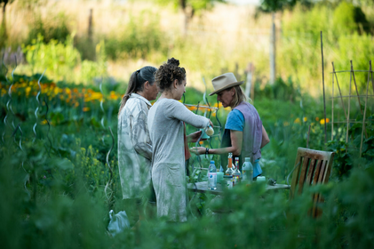 Preserving Heirloom Vegetable Varieties: What You Can Do