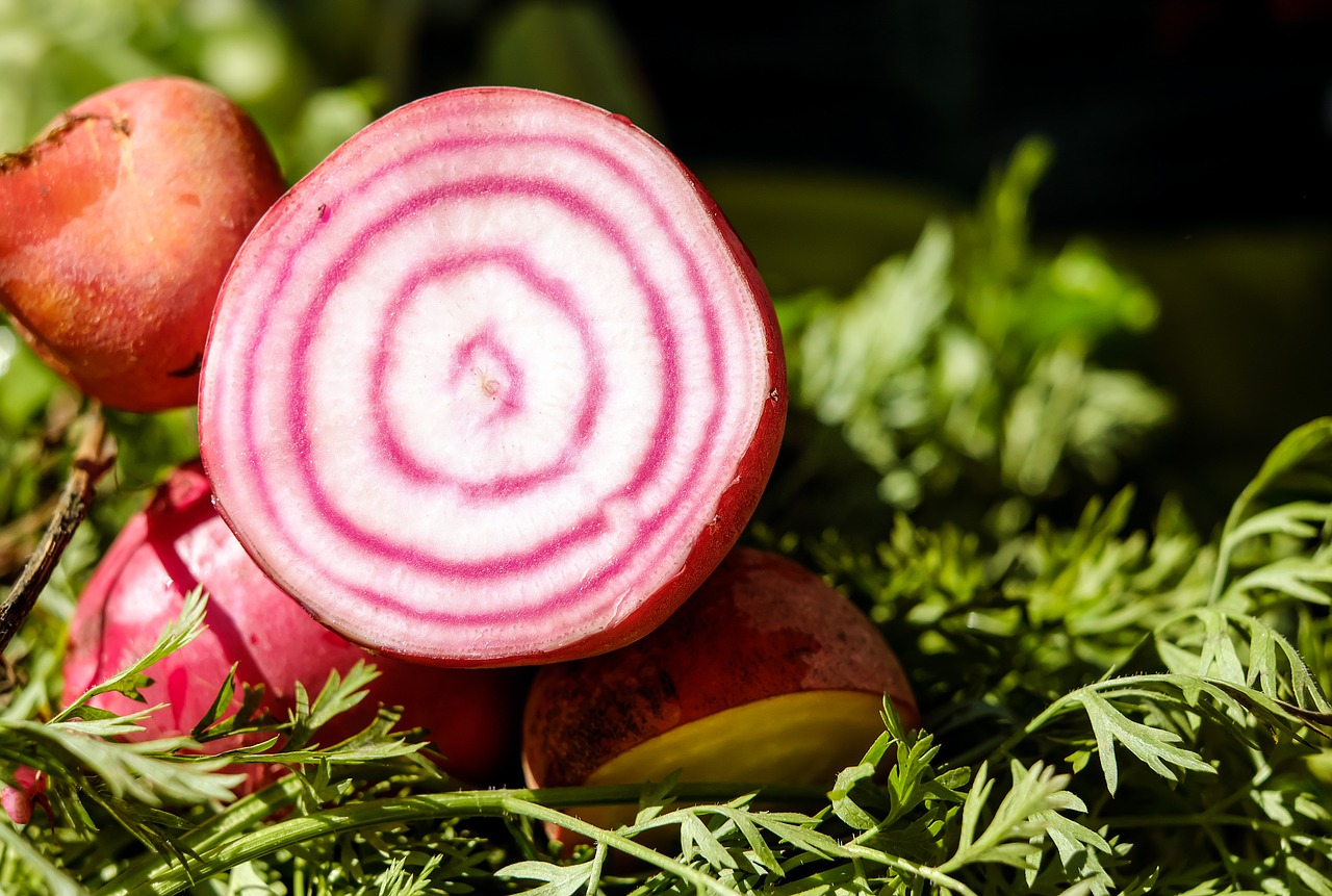 Old beet variety with white beet
