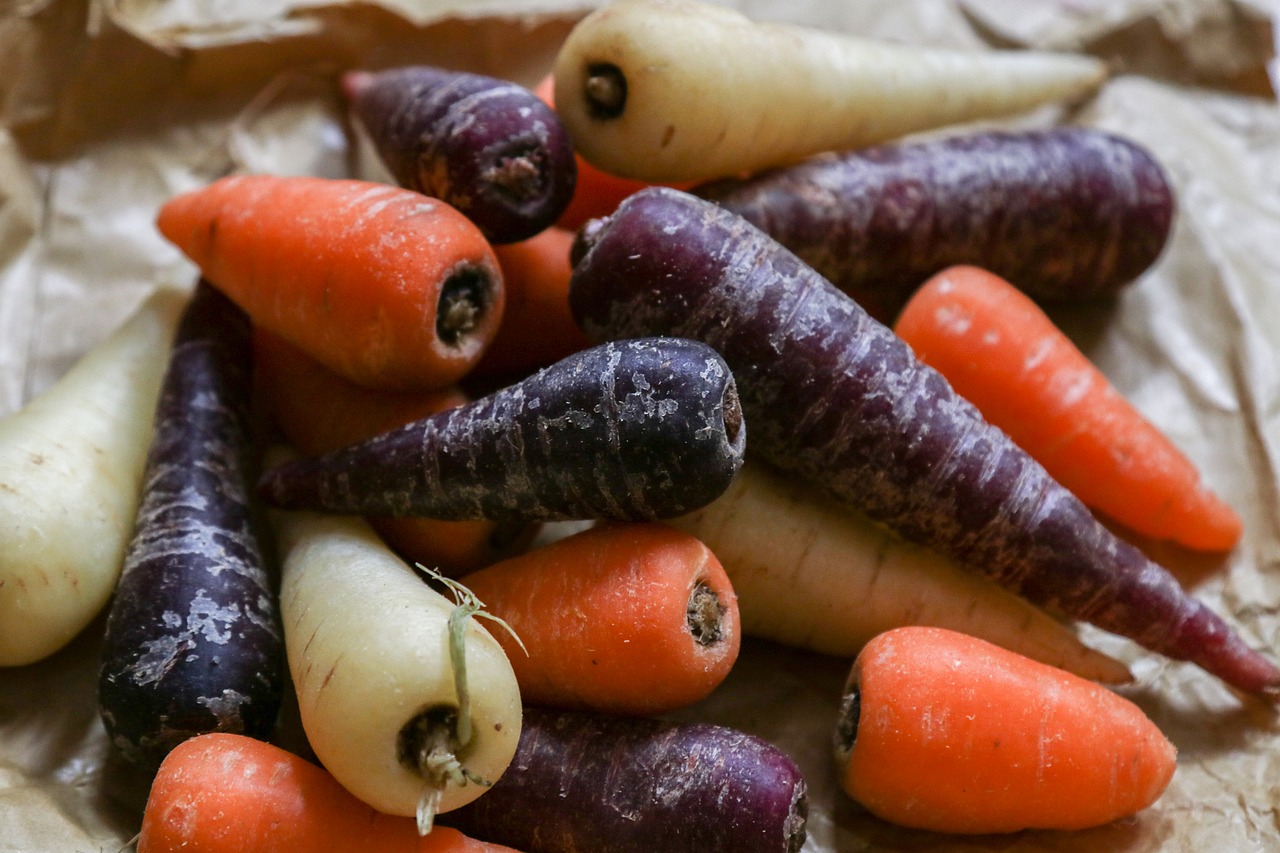 Carrot varieties