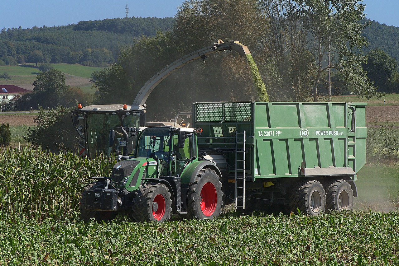 Mechanical maize harvesting