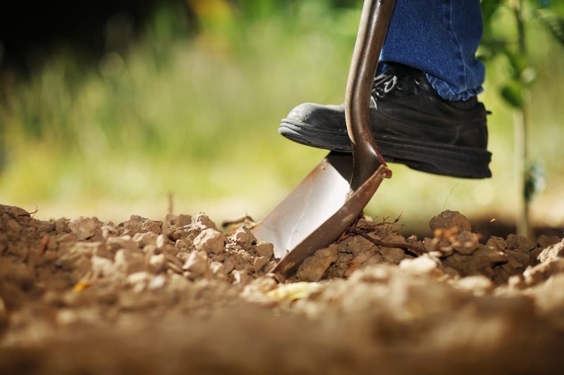 5 Tipps für Anfänger