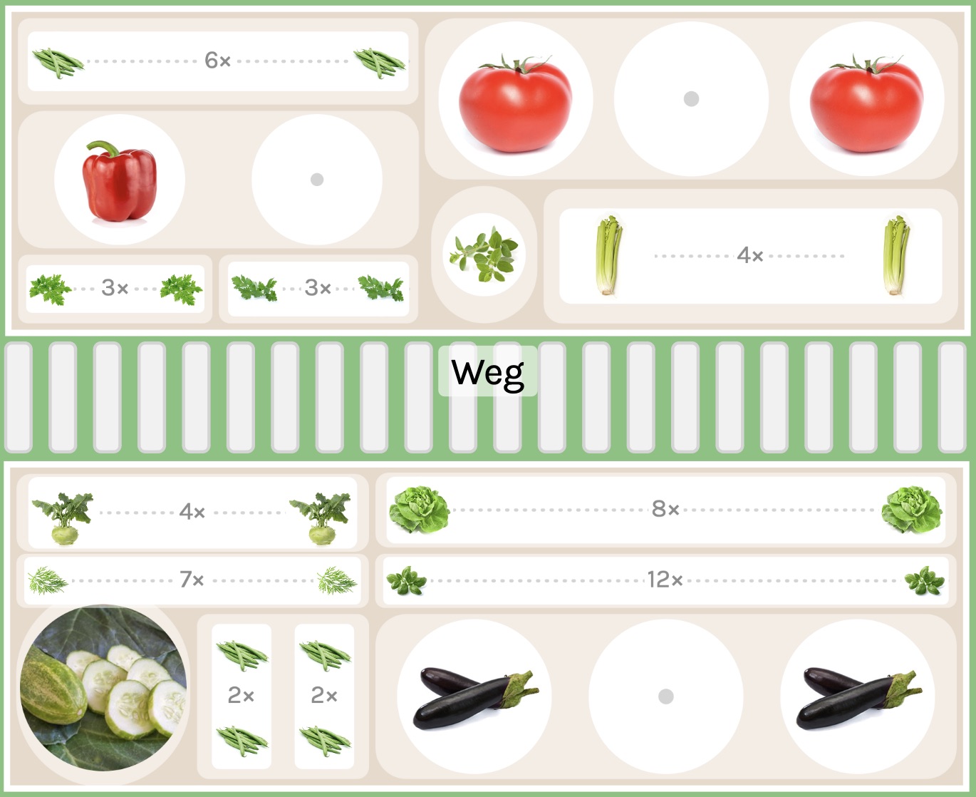 Planting plan for eggplant in the greenhouse.