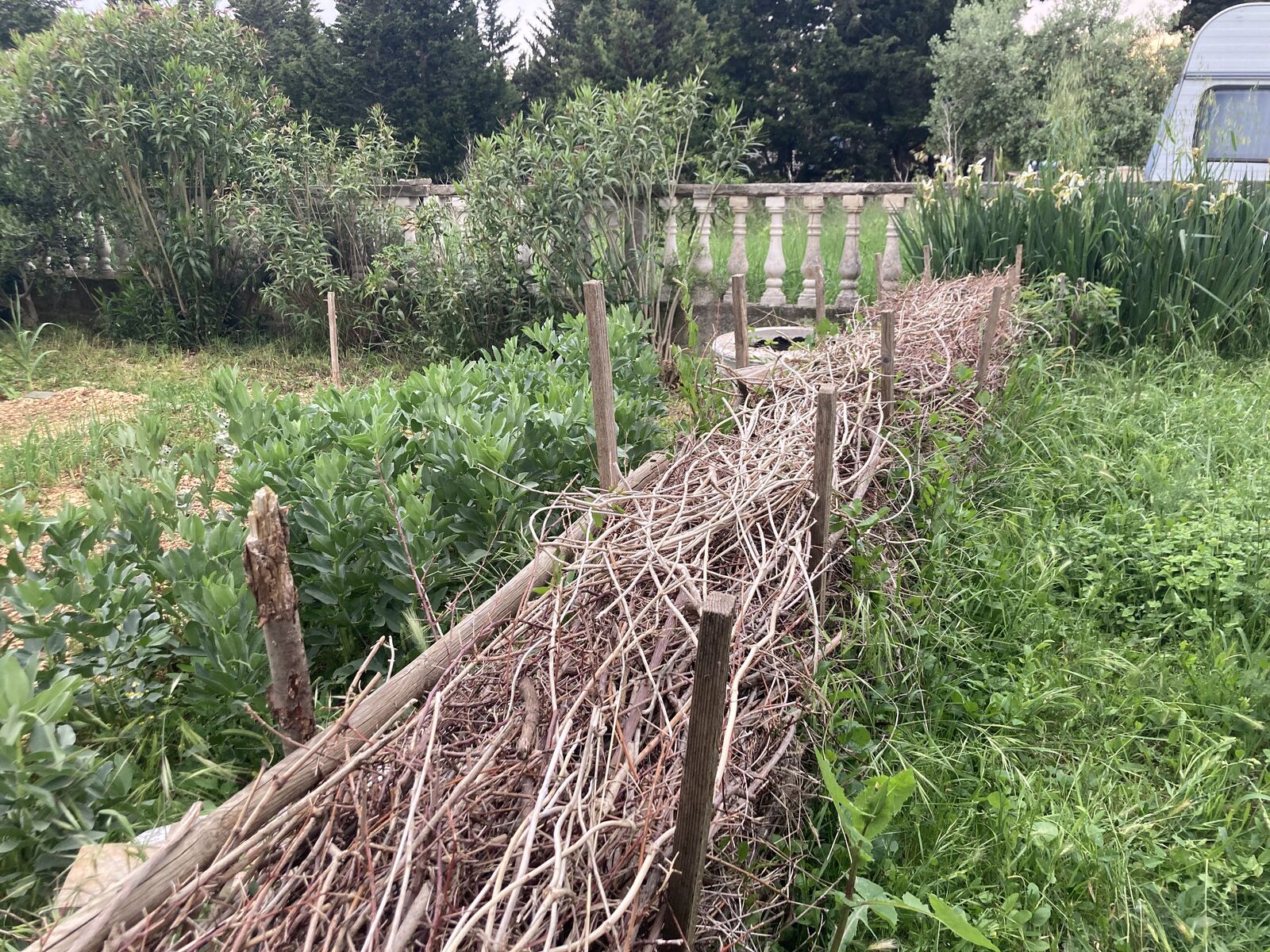 Finished Benjes hedge as a border for beds