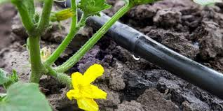 Garden Irrigation at a Glance: Irrigation Systems for Gardens, Balconies, and Raised Beds