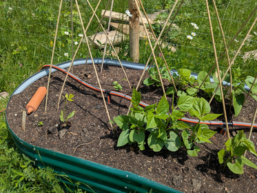 Gartenbewässerung im Überblick: Bewässerungssysteme für Garten, Balkon und Hochbeet