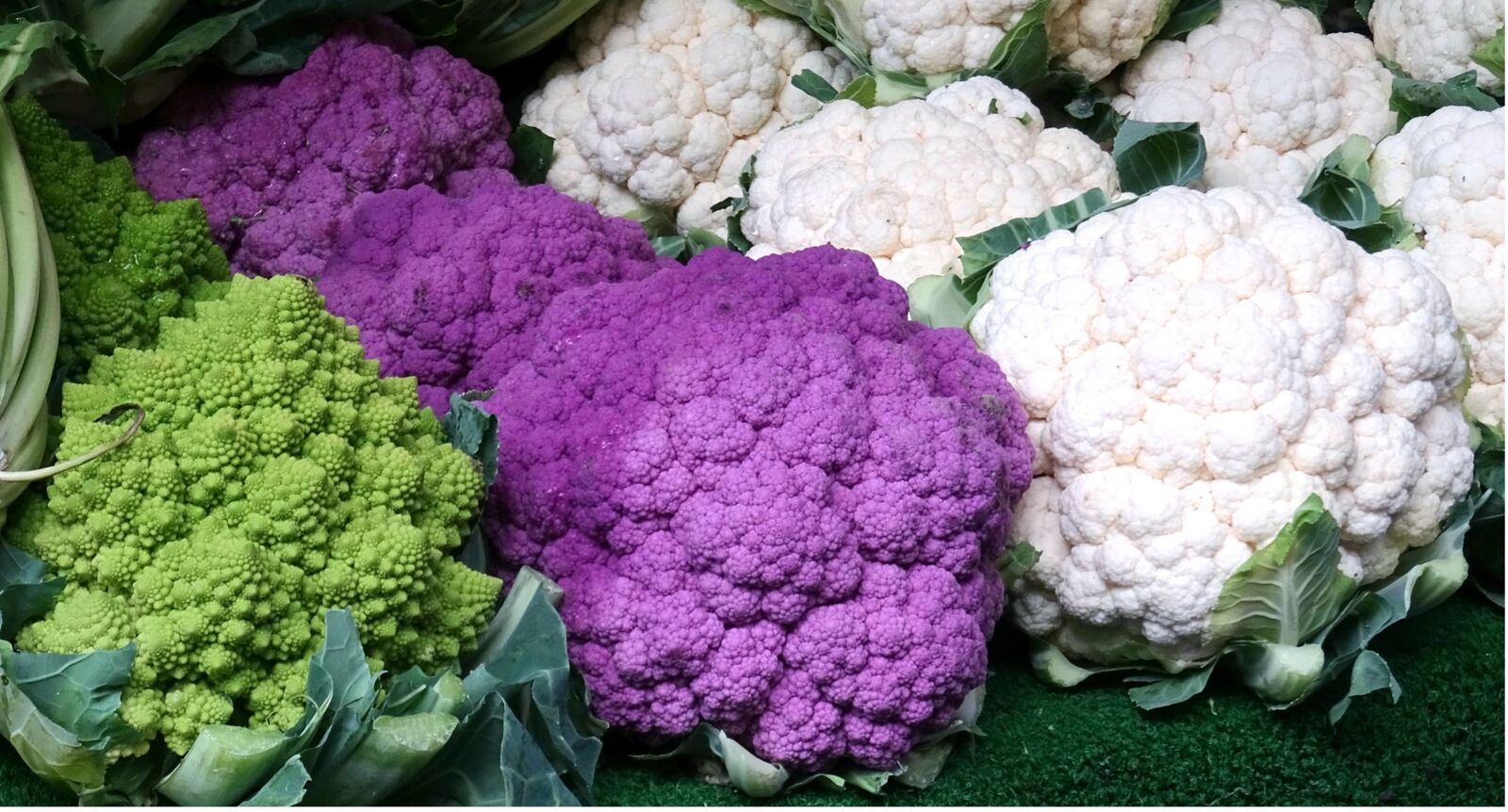 White, green and purple cauliflower varieties