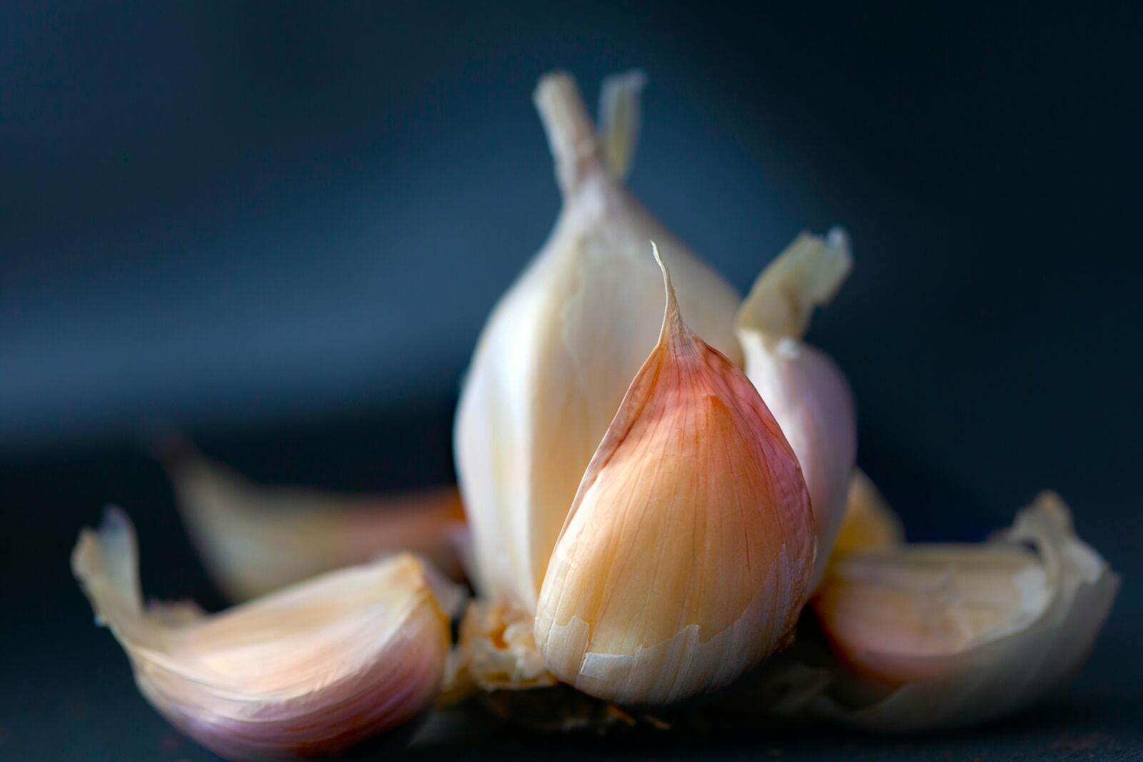 Garlic is a bad neighbor for beans