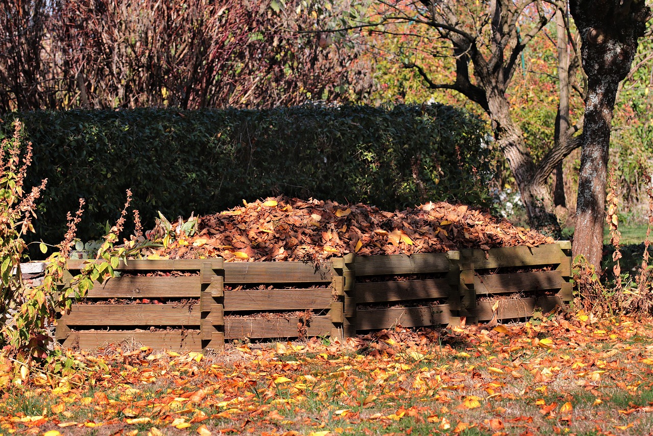 Kompost im Garten mit Laub gefüllt im Herbst.