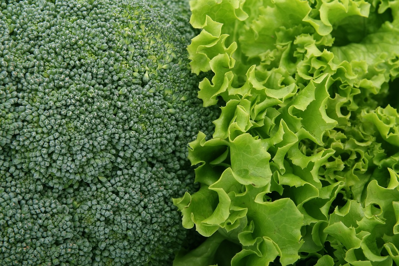 Brokkoli und Salat als gute Nachbarn