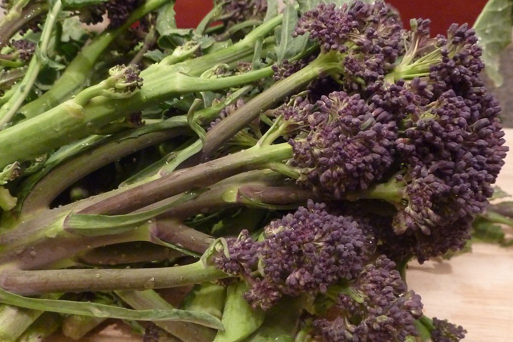 Purple stem cabbage 'Purple Sprouting'