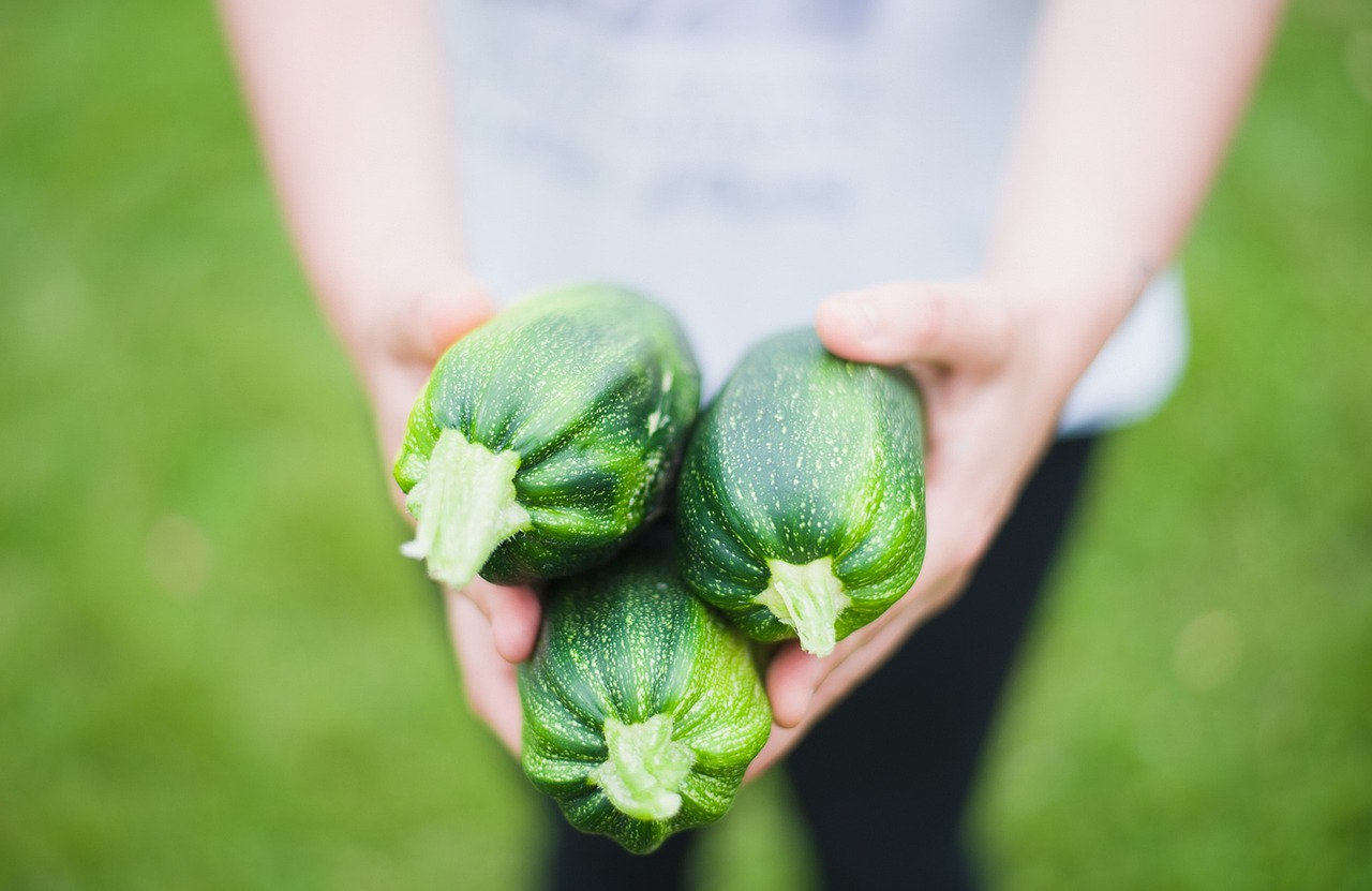 Zucchini verarbeiten: Leckere Rezepte & Ideen