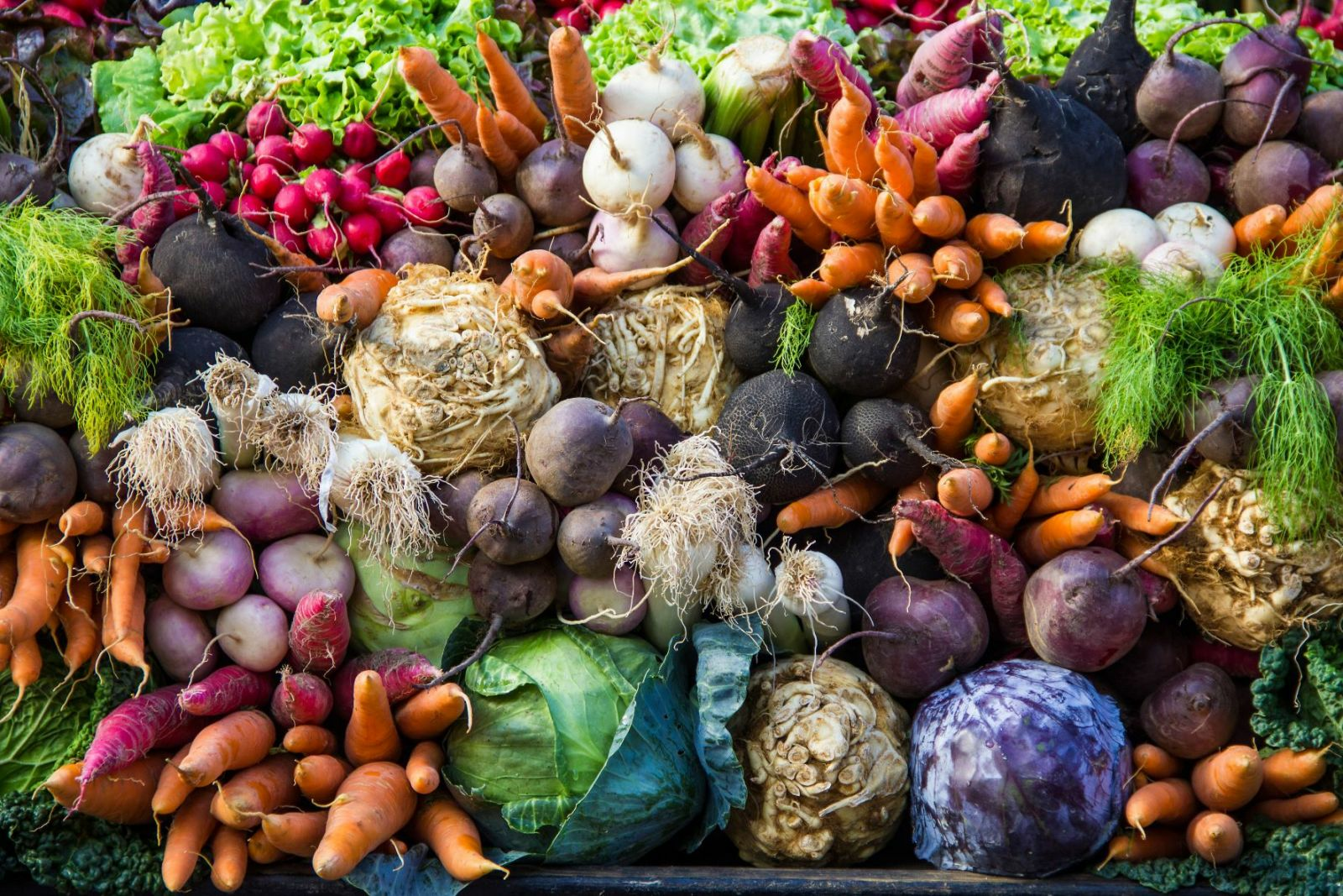 Erntezeit - Wann kann welches Obst und Gemüse geerntet werden?