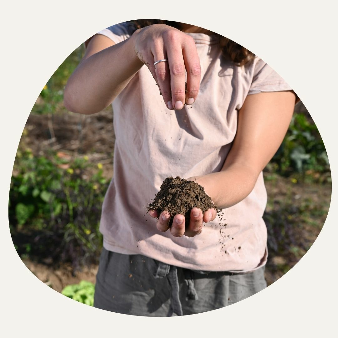 Boden und Mulch