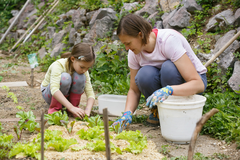 Gärtnern mit Kindern: Ideen für 10 einfache Projekte