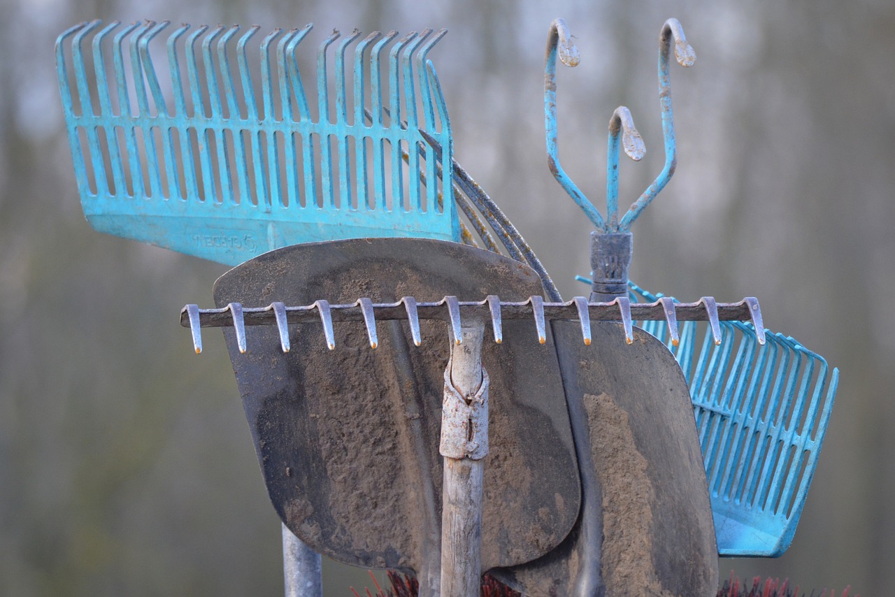 Caring for garden tools before winter
