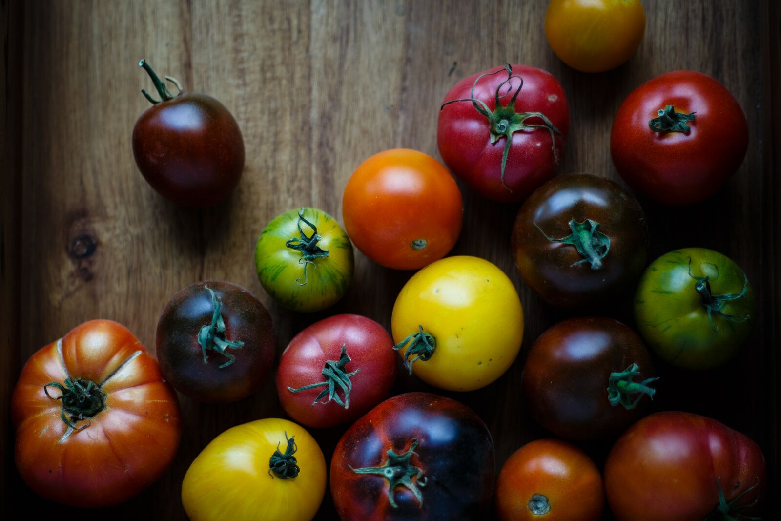 Tomaten vor dem Winter ernten