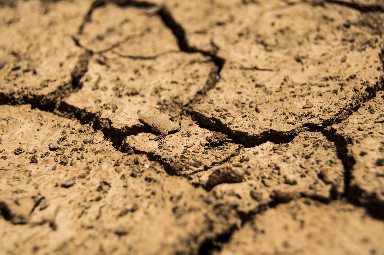 Dry clay soil with cracks.