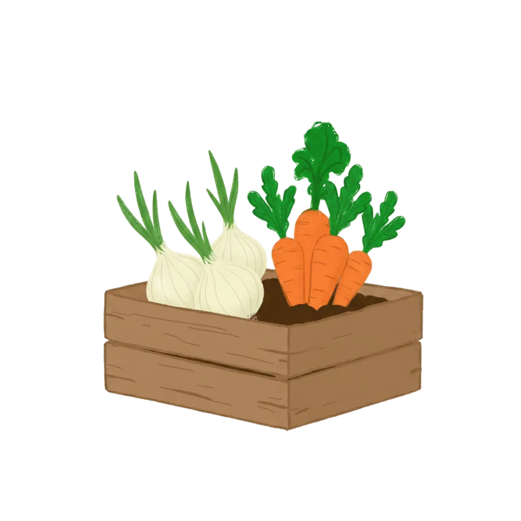 Onions and carrots are heat-tolerant