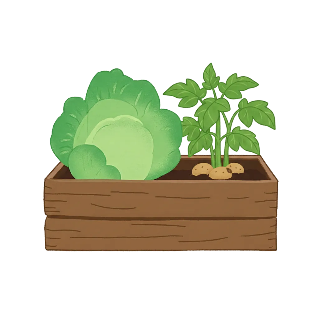 Diseased potato and cabbage plants with aphids 