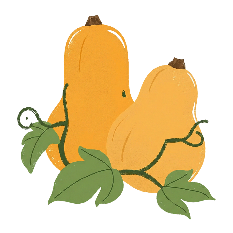 Kürbis und Kohl krank wegen hitze 