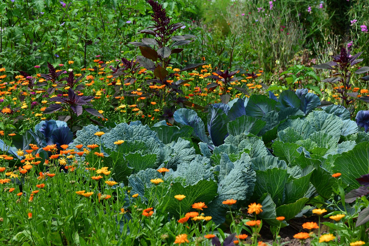 Garden in full bloom in June