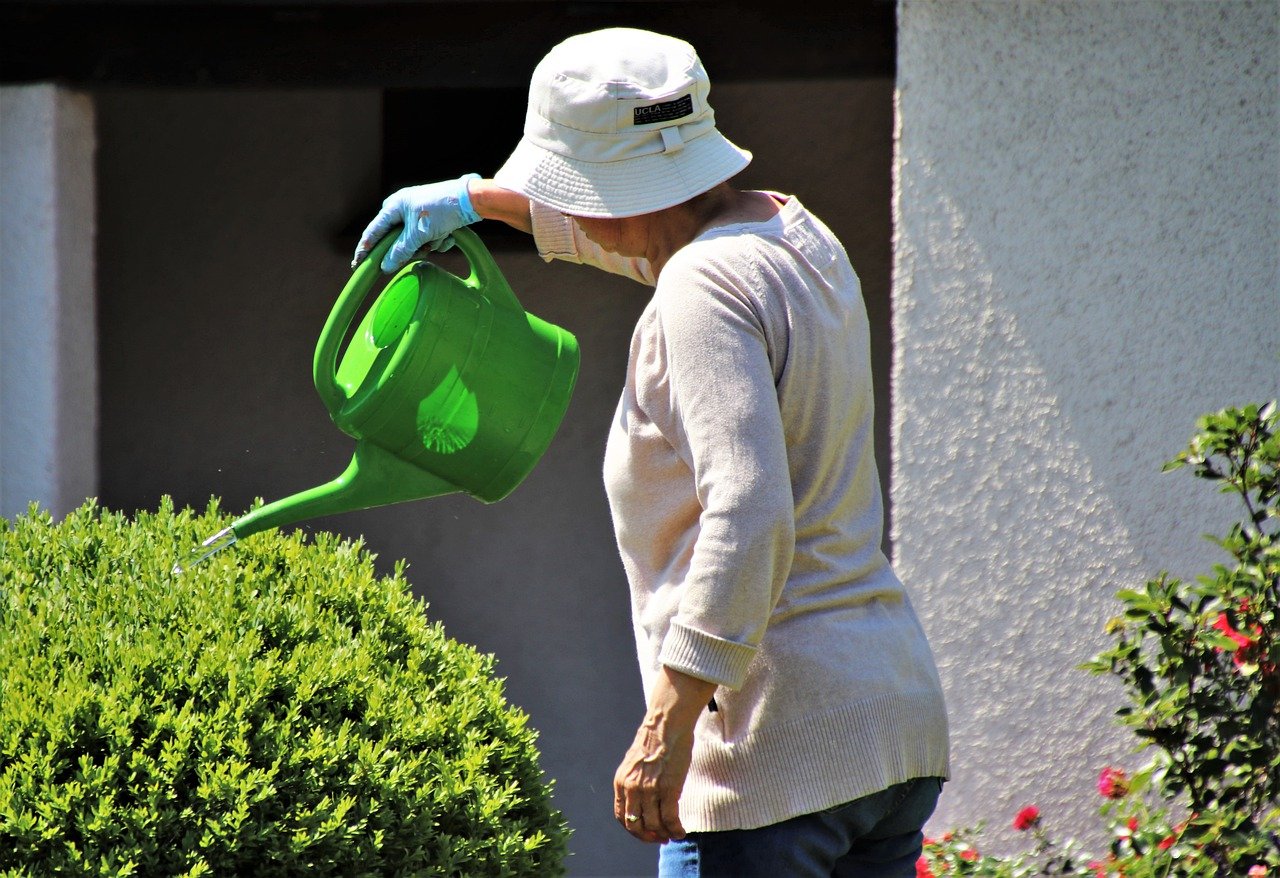 Gardening in July