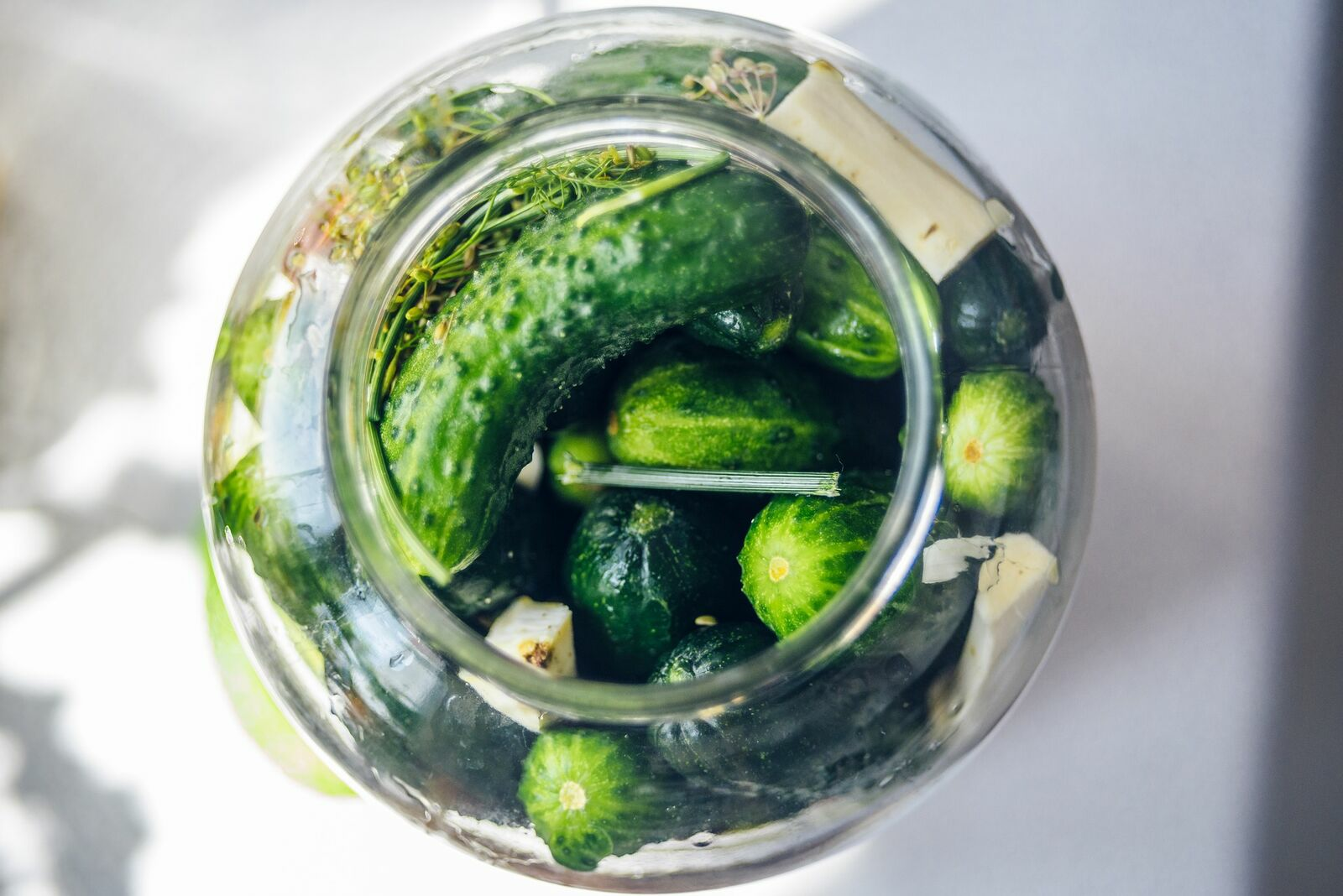 Pickling cucumbers: make your own pickles