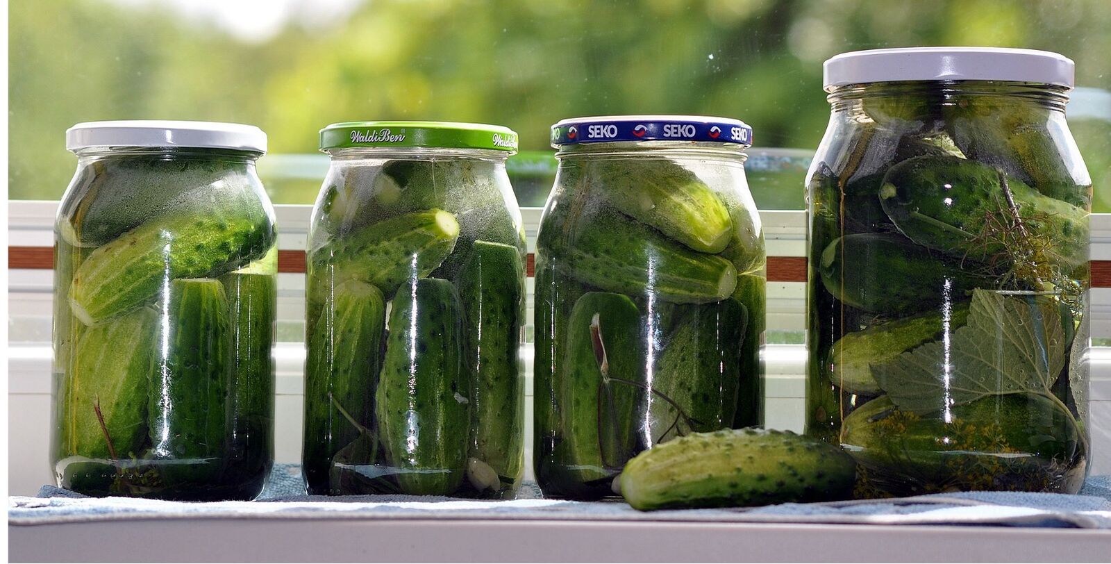 Pickling cucumbers in screw-top jars