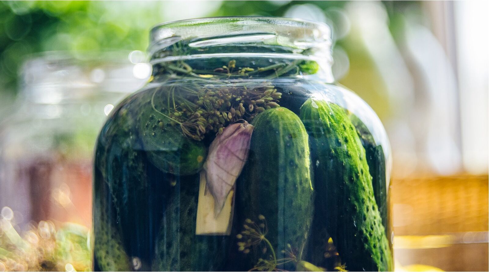 Make your own pickled cucumbers