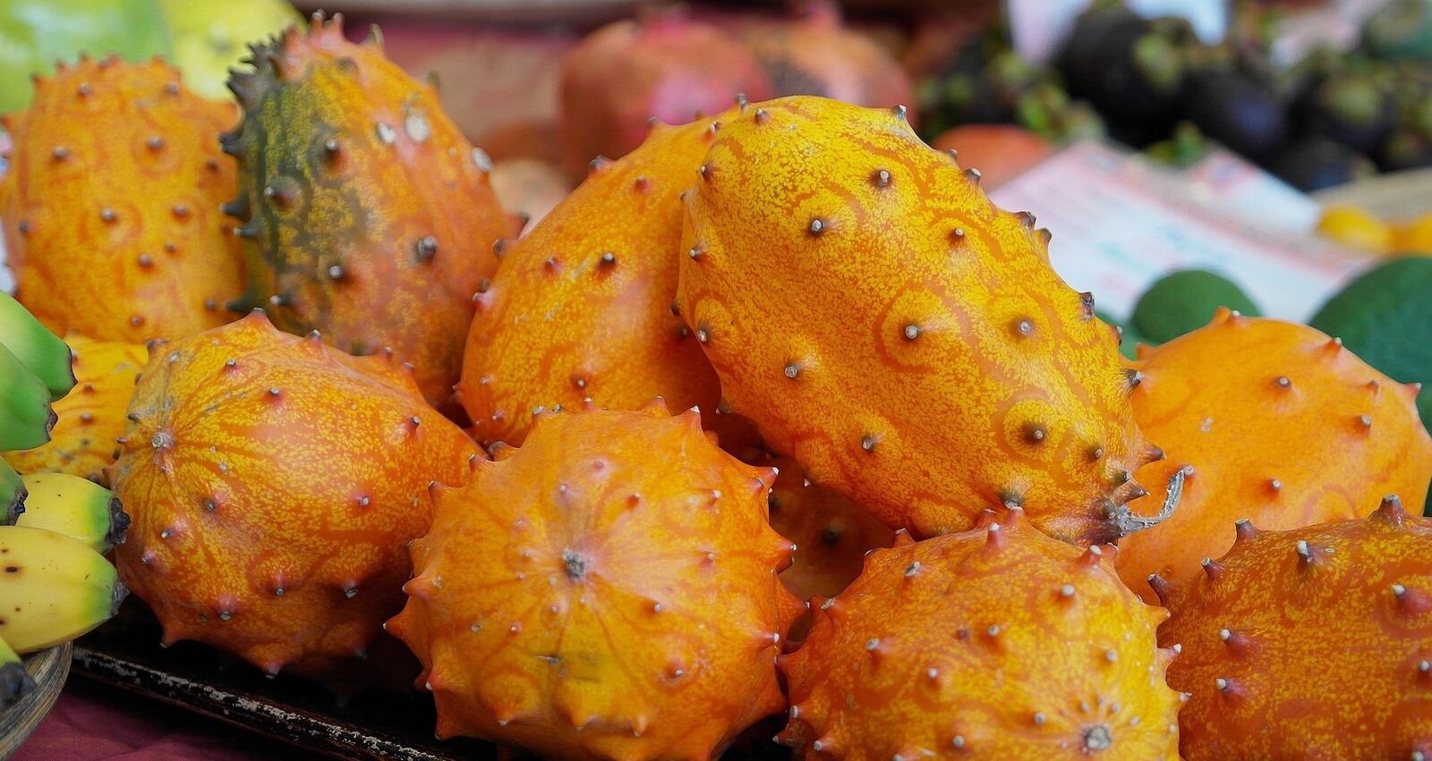 Prickly cucumber Kiwano